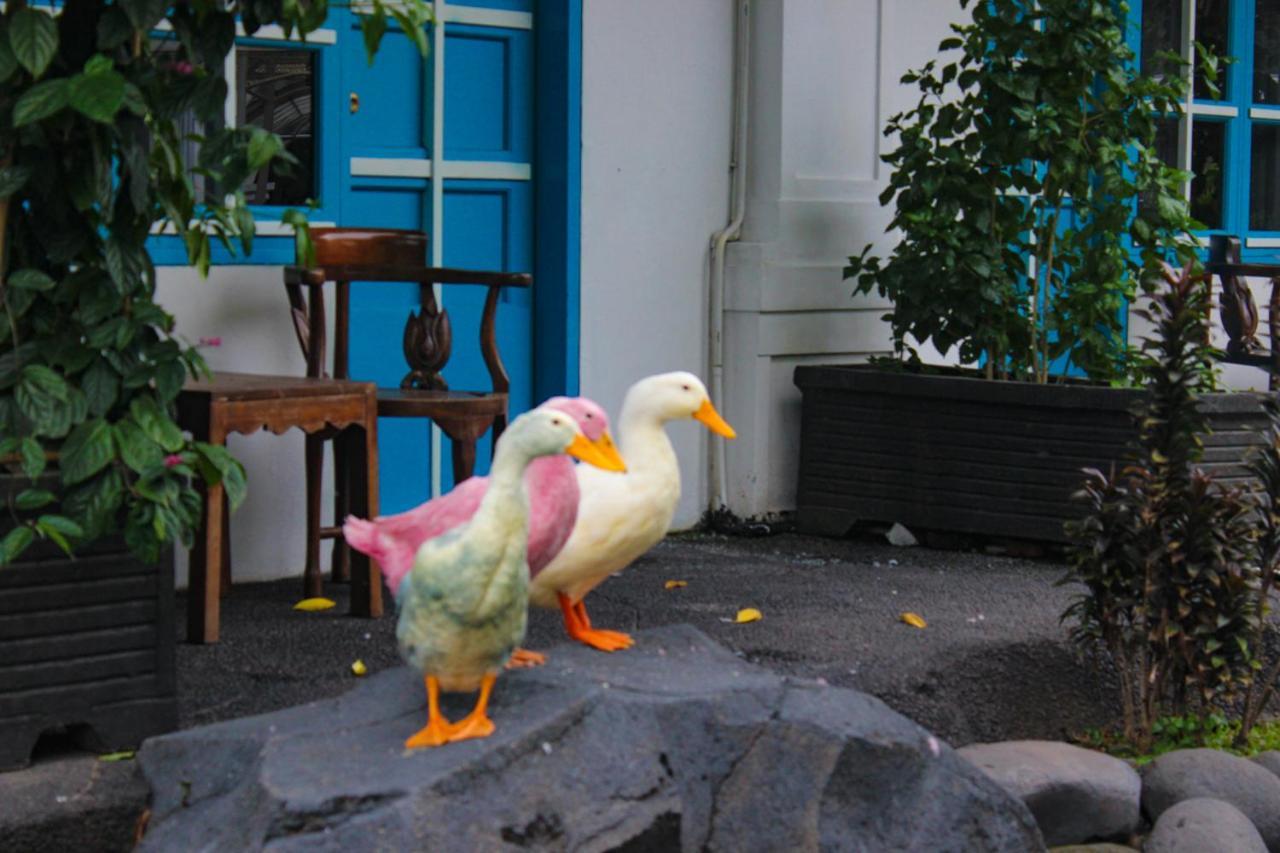 Hotel Merdeka Kediri Kediri  Luaran gambar